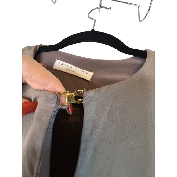 Elegant Trina Turk Taupe Dress with Gold Clasp - Picture 9 of 10
